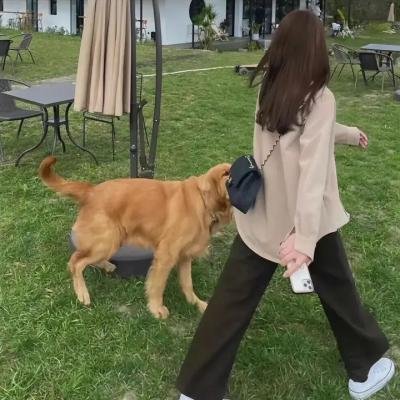 回声茶寮·重逢海报